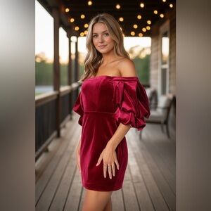 Off the Shoulder Velvet  Cocktail Minidress
Petal & Pup M Holidays